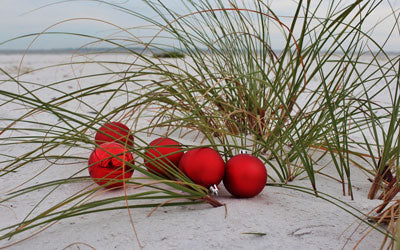 Decoration inspiration from winter beaches
