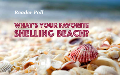 What’s your Favorite Shelling Beach?