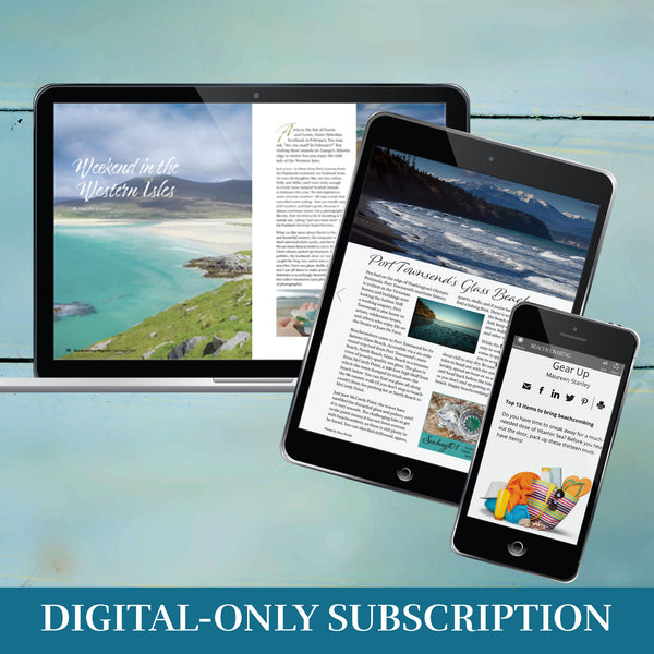 Beachcombing Digital-Only Subscription