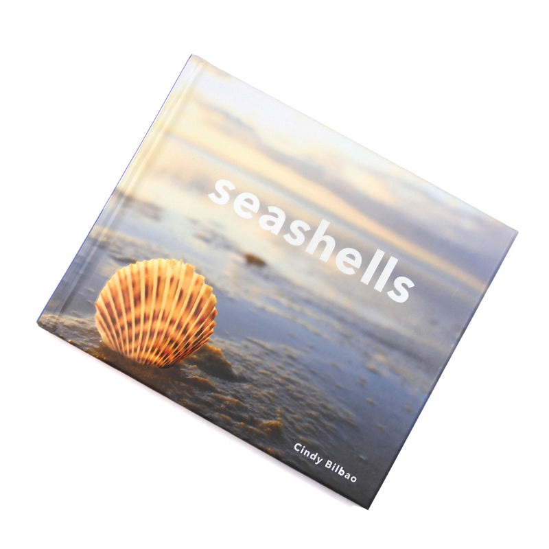 Seashells Book — Cindy Bilbao