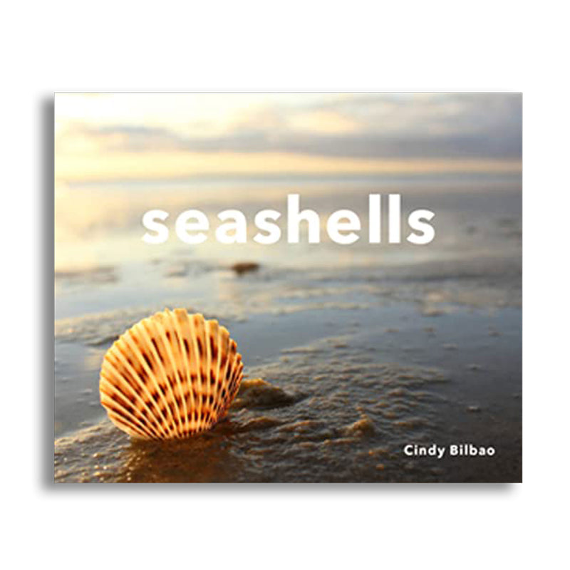 Seashells Book — Cindy Bilbao