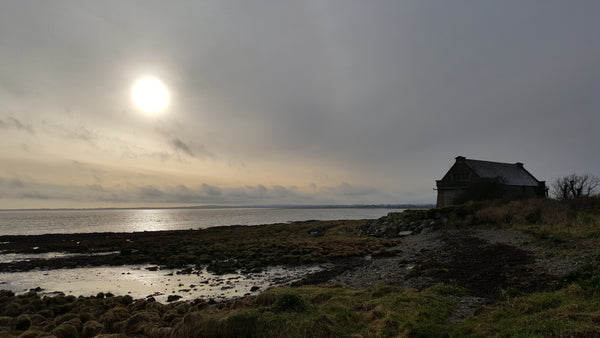 Beachcombing in Blackrock, County Louth, Ireland