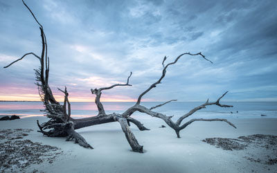 Catching First Light: Beach Photography