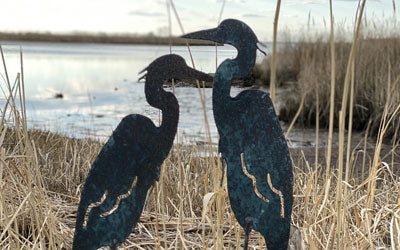 Spotlight Artist: Lori Julian