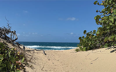 Seashell and sea glass hunting in Puerto Rico – Beachcombing Magazine