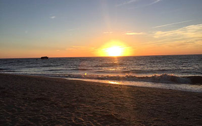 Beachcombing in Cape May, New Jersey