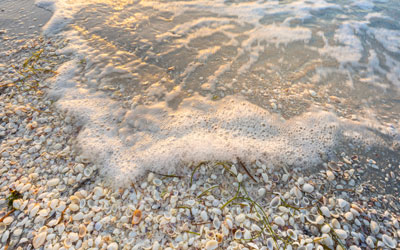 Winter Getaway: Sanibel Island