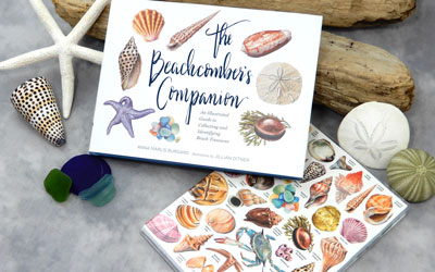 Products We Love: Beachcombing and Beach Decor Books
