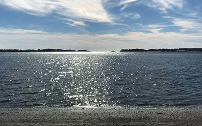 Beachcombing as Meditation