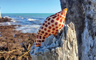 2024 Photo Contest Finalists