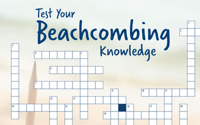 Test Your Beachcombing Knowledge