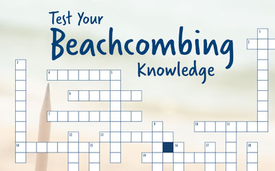 Beachcombing Knowledge Crossword Puzzle