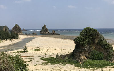 Beachcombing Destination: Okinawa     