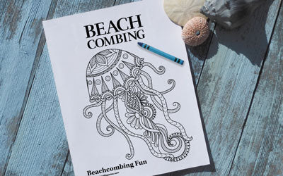 Beachcombing Fun