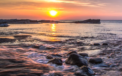 Poll: The Joys of Beachcombing