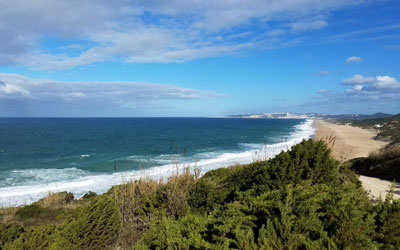 Beachcombing in Portugal