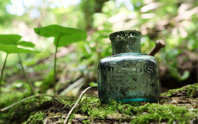 Treasures on the Spoil Heaps: A day at a Scottish bottle dump