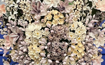 Broward Shell Club Shell Show