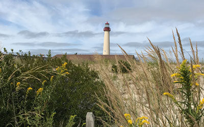 On the Way to Cape May: The Search for Cape May Diamonds