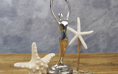 Beachcombing wins Silver Communicator Award