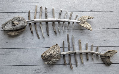 Driftwood Skeleton Fish