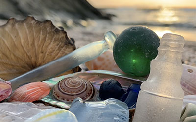 The Eclectic Beachcombing Collection of Tina Terry from Teal Bamboo