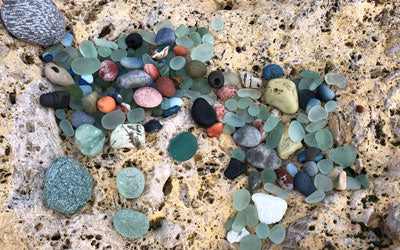 Beachcomber Interview: Nicola McFarlane Young