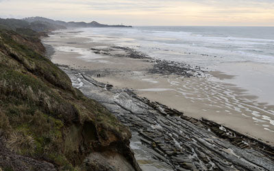 Fossil Finds on the Oregon Coast