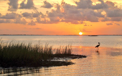 Destination: Galveston Island