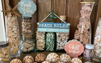 Florida Seashells from the collection of Jaime Sawczyn