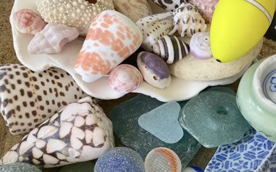 Distinctive International Beach Finds