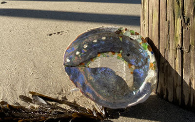 Kintsugi Style: Repairing Seashells with Sea Glass