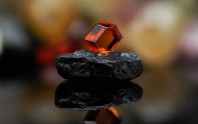 In a Grain of Sand