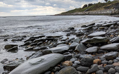 Mary Anning: A Lightning Strike, a Tongue Twister, and a Dinosaur