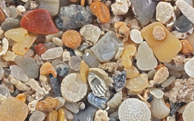 Macro and Micro views of the Beach by Kate Clover