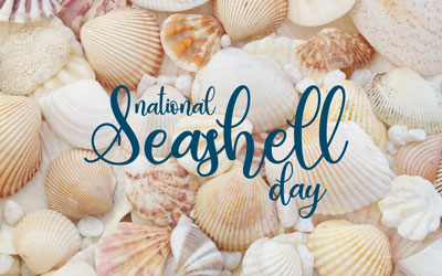 How to shellebrate National Seashell Day