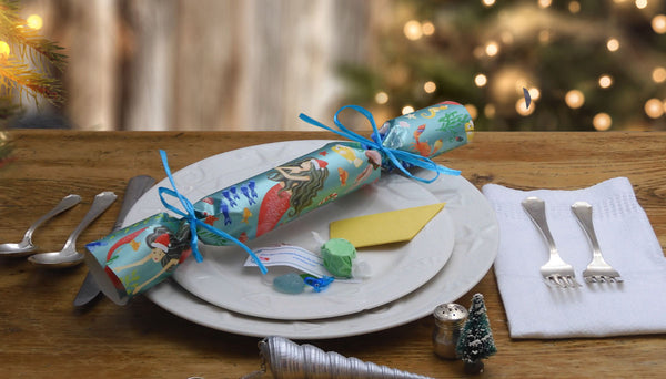 Party Crackers Craft How To