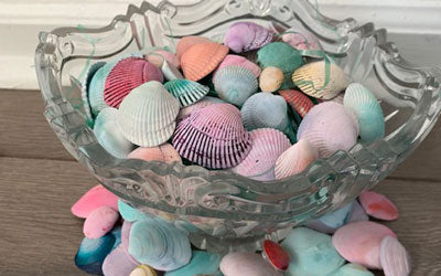 Pastel Shells