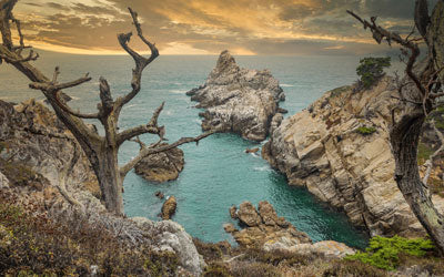 Driftwood and Sou’westers: Poets and the Sea