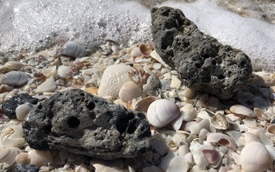 Rocks that are anything but boring