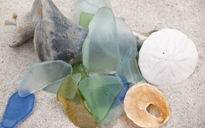 Searching for Sea Glass in the Sunshine State
