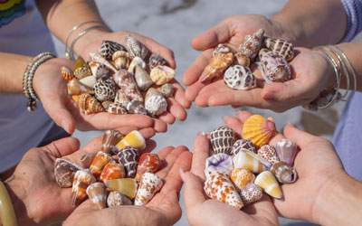 Beachcomber Interview: The Shell Gang