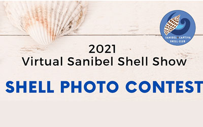 Sanibel Shell Festival Photo Contest
