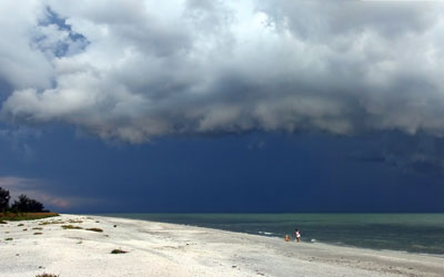 Searching in Sanibel
