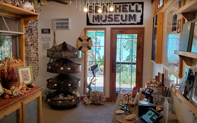 Tiny Seashell Museum on the Sea of Cortez