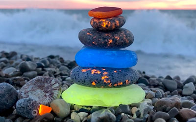 How to make a sea shell tree – Beachcombing Magazine