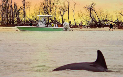 Treasure Seeker in the Ten Thousand Islands