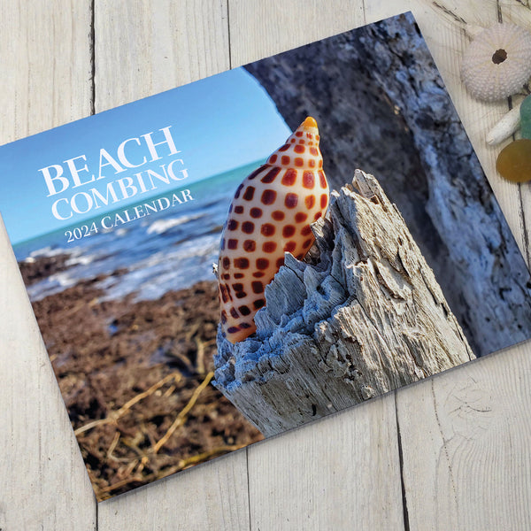 Beachcombing 2024 Calendar - BOGO