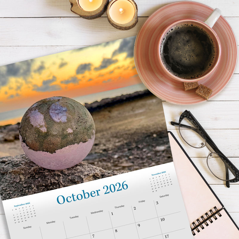Beachcombing 2026 Calendar - PRE-ORDER