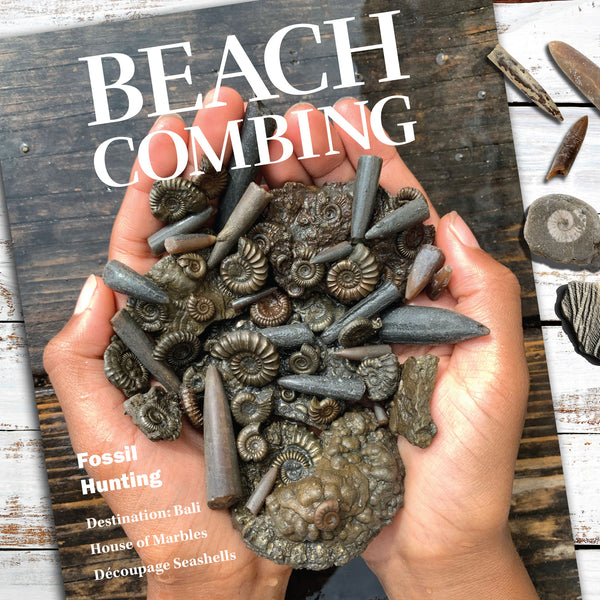 I'd Rather Be Beachcombing Reusable Water Bottle – Beachcombing Magazine